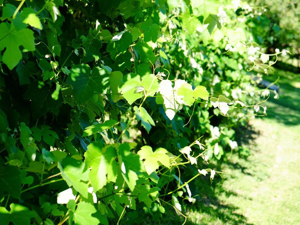 Agriturismo Villa Maria Pia Filey Ngoại thất bức ảnh